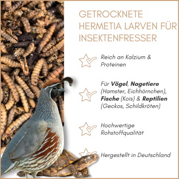 Getrocknete Hermetia-Larven mit Wachtel und Schildkröte, deutsches Etikett 'Getrocknete Hermetia Larven für Insektenfresser'.