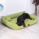 Ein schwarzer Dobermann, der bequem auf einem grünen Hundebett mit einem kleinen Kissen liegt, in einem hellen, modernen Raum.