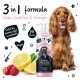 Ein goldener Cocker Spaniel sitzt neben einer Flasche Bugalugs 3-in-1 Shampoo, Conditioner und Entwirrungsspray, das Zitrone und Himbeere enthält.