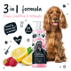 Ein goldener Cocker Spaniel sitzt neben einer Flasche Bugalugs 3-in-1 Shampoo, Conditioner und Entwirrungsspray, das Zitrone und Himbeere enthält.