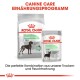 Royal Canin Canine Care Digestive Care Produkte, mit einem Trockenfutterbeutel, der mit "MAXI" gekennzeichnet ist, und einem Feuchtfutterbeutel, der die Verbesserung der Stuhlqualität fördert.