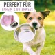 Ein Hund hält eine Edelstahlschüssel im Mund, neben ihm steht eine rosa Fressschüssel. Der Text lautet "PERFEKT FÜR DAHEIM & UNTERWEGS."