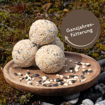 Vier runde Vogelfutterbälle sind auf einem Holzbrett gestapelt, umgeben von verstreuten Samen und Nüssen, mit einer Sprechblase, die "Ganzjahresfütterung" besagt.
