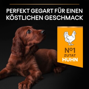 Nahaufnahme eines braunen Hundes, der nach oben schaut, mit dem Text "PERFEKT GEGART FÜR EINEN KÖSTLICHEN GESCHMACK" und einem orangefarbenen "N°1 ZUTAT HUHN"-Label.