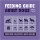 Lila Tabelle 'Fütterungsempfehlung für erwachsene Hunde': 5–15 kg 80–165 g; 15–30 kg 165–300 g; 30–40 kg 300–375 g; über 40 kg 375 g. Hinweis: Wasser bereitstellen.