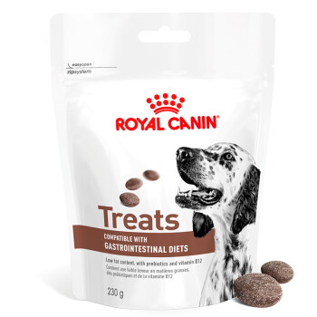 Pochette blanche de friandises Royal Canin avec portrait d'un chien tacheté, des croquettes et la mention 'Friandises', 'Compatible avec les régimes gastro-intestinaux', 230 g