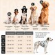 Bild von Hunderassen: West Highland White Terrier, Beagle, Border Collie, Labrador Retriever und Dobermann, mit Größenchart für Hals und Brust.
