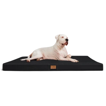 Ein weißer Hund liegt bequem auf einem schwarzen Haustierbett und zeigt ein schlankes Design mit einem kleinen Logo an der Seite.