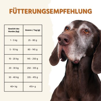 Ein Sack Wildfang Haustierfutter mit der Aufschrift "Truthahn mit Süßkartoffel & Preiselbeere" liegt auf Holz, mit Truthahn, Süßkartoffeln und Preiselbeeren in der Nähe.