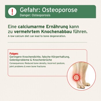 Warnung vor Osteoporose bei Haustieren aufgrund von kalziumarmen Diäten, die zu verringerter Knochendichte und Gelenkproblemen führen.