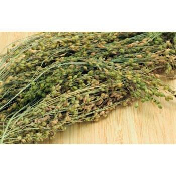 Getrocknete grüne und braune Samenkapseln, die auf einer Holzoberfläche angeordnet sind und eine natürliche, organische Zutat für Haustierfutter zeigen.