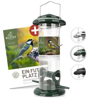 Ein Vogelhaus mit grünem Deckel und Boden, ausgestattet mit einem klaren Rohr und einem Etikett, das "Futtersäule für Gartenvögel" liest, mit Bildern eines Vogels.