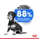 Czarnobiały pies siedzi obok niebieskiego okręgu z napisem "88%" i polskim tekstem o poprawie kondycji zwierząt.