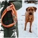 Eine Person in einer grünen Daunenjacke hält eine orange Hundeleine in einer verschneiten Umgebung, während ein brauner Hund in der Nähe steht.