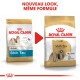 Deux sacs de nourriture pour chien Royal Canin Shih Tzu avec un nouveau design, présentant "NOUVEAU LOOK, MÊME FORMULE" et "Adulte, Plus de 10 mois."