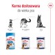Obraz karmy dla psów Royal Canin: "Puppy" (2-15 miesięcy), "Adult" (15 miesięcy-5 lat) i "Ageing" (powyżej 5 lat).