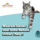 Een grijs-witte Maine Coon kat tegen een lichtblauwe achtergrond met de tekst "Waarom kiezen voor Almo Nature Urinary Help?" bovenaan.