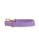 Lila Haustierleine mit einem goldenen Clip und D-Ring, auf einem weißen Hintergrund präsentiert.