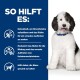 Ein flauschiger schwarz-weißer Hund lächelt auf einer weißen Oberfläche, mit blauem Text, der die gesundheitlichen Vorteile für Haustiere im Hintergrund hervorhebt.