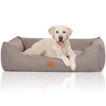 Ein Golden Retriever liegt bequem auf einem weichen, grauen Hundebett mit einem Lederetikett, das ein gemütliches, haustierfreundliches Design zeigt.