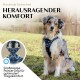 Ein Hund in einem stilvollen Geschirr sitzt auf Gras neben Wasser, mit dem Text: "Herausragender Komfort" und "Großzügige Polsterung."