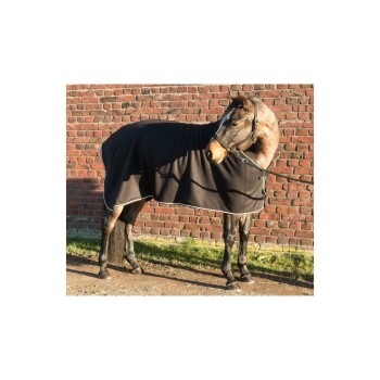 Ein Pferd, das eine schwarze Decke trägt, steht auf einem Schotterweg vor einer Ziegelmauer und zeigt sein glänzendes Fell und Halfter.