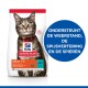 Hill's Science Plan Katzenfutterbeutel mit einer getigerten Katze, mit Text, der Unterstützung für Immunität, Verdauung und Muskeln hervorhebt.