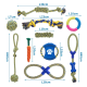 Eine Vielzahl von bunten Haustierspielzeugen, darunter Seilspielzeuge, ein Gummiring und ein karottenförmiges Spielzeug, mit in Zentimetern angegebenen Abmessungen.