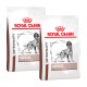 Zwei Tüten Royal Canin Veterinary Hepatic Hundefutter, mit einer schwarz-weißen Hundillustration und dem Markenlogo auf einem weißen Hintergrund.