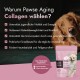 Golden Retriever neben Pawse Aging Collagen Hundezusatzverpackung mit Vorteilen in deutscher Sprache.