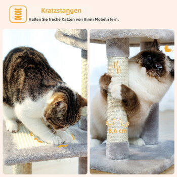 Zwei Katzen auf einem Kratzbaum: eine kratzt an der Basis, während die andere verspielt hängt. Text: "Kratzteile" und "Schützen Sie Ihre Möbel."