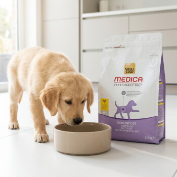 szczeniak golden retriever wąchający miskę obok worka karmy Select Gold Medica Veterinary Diet oznaczonego 'Schonkost' (2,5 kg)