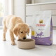 szczeniak golden retriever wąchający miskę obok worka karmy Select Gold Medica Veterinary Diet oznaczonego 'Schonkost' (2,5 kg)