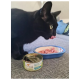 Eine schwarze Katze leckt sich die Lippen neben einer blauen Schüssel mit Katzenfutter, mit einer geöffneten Dose mit der Aufschrift "Lachs & Truthahn" in der Nähe.