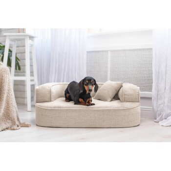 Ein schwarz-brauner Dackel liegt bequem auf einem plüschigen, beigen Haustierbett mit zwei kleinen Kissen, in einem hellen, luftigen Raum.