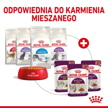 Obraz karmy dla kotów Royal Canin: suche torby oznaczone "Fit," "Sterilised," "Indoor," "Sensible," i "Sensory," plus czerwona miska na granulki.