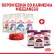 Obraz karmy dla kotów Royal Canin: suche torby oznaczone "Fit," "Sterilised," "Indoor," "Sensible," i "Sensory," plus czerwona miska na granulki.