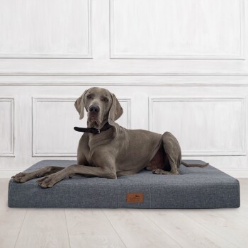 Ein grauer Hund liegt auf einem dunkelgrauen Hundebett mit einem Lederschild, das "tierland" beschriftet ist. Der Hintergrund zeigt weiße Paneelwände.
