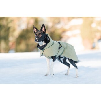 Ein schwarz-weißer Hund, der einen hellgrünen Regenmantel trägt, steht im Schnee und sieht aufmerksam mit aufgerichteten Ohren aus.