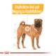 Illustration eines Shar Pei Hundes mit einem hervorgehobenen Bereich und Text über empfindliche Haut und Hautreizungen.