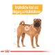 Illustration eines Shar Pei Hundes mit einem hervorgehobenen Bereich und Text über empfindliche Haut und Hautreizungen.