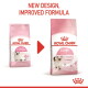 Two pink Royal Canin kitten food bags (old and new design) with red arrow; text "NEW DESIGN, IMPROVED FORMULA"