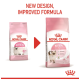 Two pink Royal Canin kitten food bags (old and new design) with red arrow; text "NEW DESIGN, IMPROVED FORMULA"
