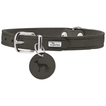 Schwarzes Lederhalsband für Hunde mit einer silbernen Schnalle und einem runden Anhänger mit einem Hundesilhouette, markiert mit 'HUNTER.'