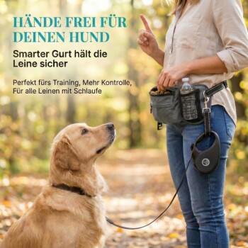 Grau Haustier-Hüfttasche mit Taschen für Hundekotbeutel, einem wasserdichten Handyfach und einem stabilen D-Ring zur Leinenbefestigung.