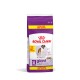 Royal Canin XL Giant Adult Hundefutterbeutel, 15 kg + 3 kg Gratisangebot, mit einem großen Hundebild und dem Text "Gesunde Gelenke".