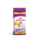 Royal Canin XL Giant Adult Hundefutterbeutel, 15 kg + 3 kg Gratisangebot, mit einem großen Hundebild und dem Text "Gesunde Gelenke".