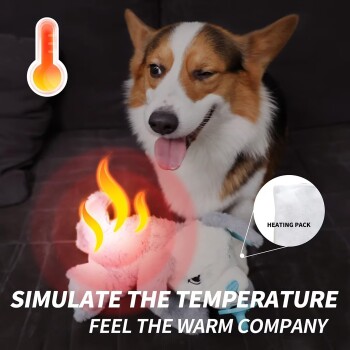 Zwinkernder Corgi mit beheiztem Plüschtier (Flammensymbol) und Einblendung mit der Aufschrift 'WÄRMEKISSEN'; sichtbarer Text: 'TEMPERATUR SIMULIEREN'.