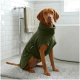 Ein weicher, olivgrüner Hundemantel mit einem runden Kragen und einer kleinen Tasche mit dem Etikett "THE DOG IDEA."