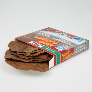 Packung Nano Catappa-Blätter für Aquarien, die mehrere braune Blätter zeigt, die teilweise aus der Box herausragen, mit sichtbaren Produktdetails auf der Verpackung.